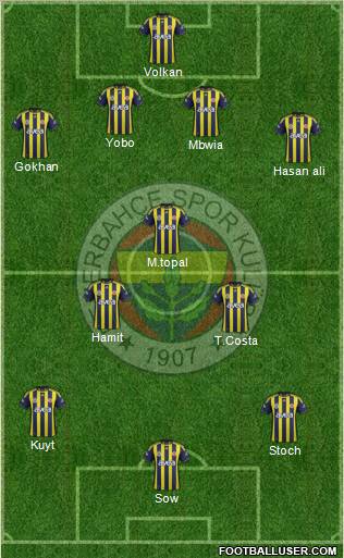 Fenerbahçe SK Formation 2012