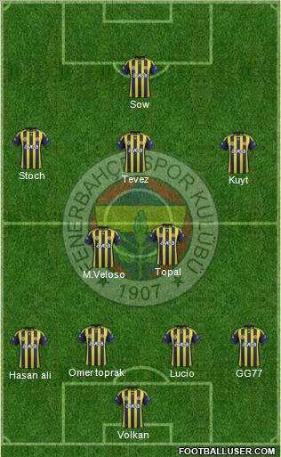 Fenerbahçe SK Formation 2012