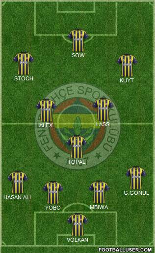 Fenerbahçe SK Formation 2012