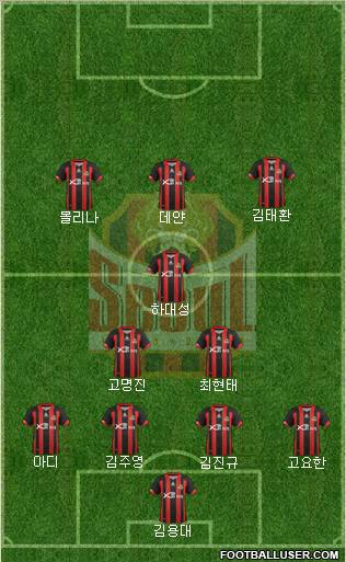 FC Seoul Formation 2012