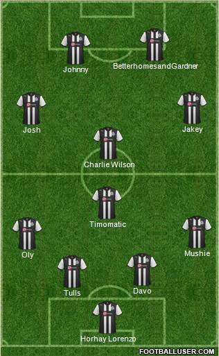 Newcastle United Formation 2012