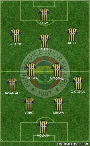 Fenerbahçe SK Formation 2012