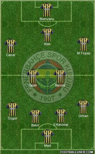 Fenerbahçe SK Formation 2012