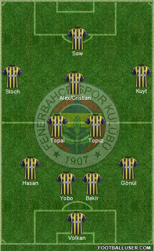 Fenerbahçe SK Formation 2012