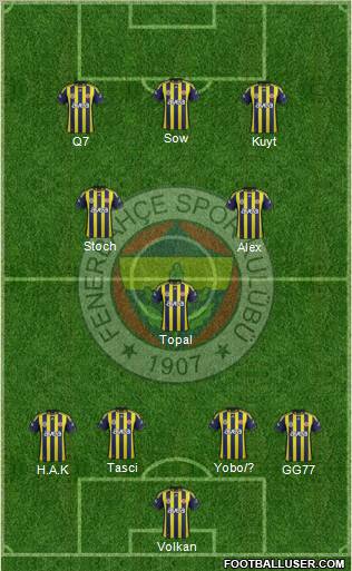 Fenerbahçe SK Formation 2012
