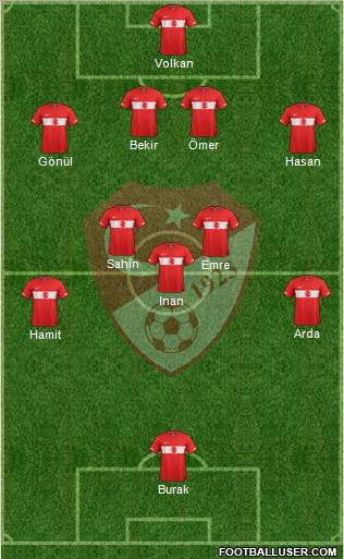 Turkey Formation 2012