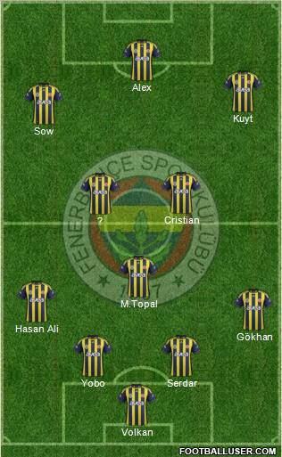 Fenerbahçe SK Formation 2012