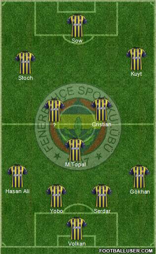 Fenerbahçe SK Formation 2012