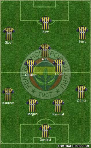 Fenerbahçe SK Formation 2012