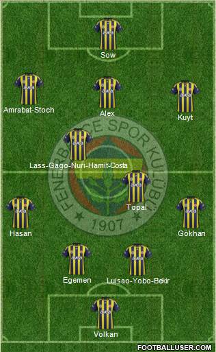 Fenerbahçe SK Formation 2012