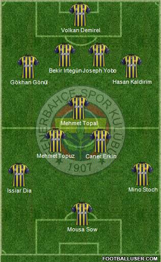 Fenerbahçe SK Formation 2012