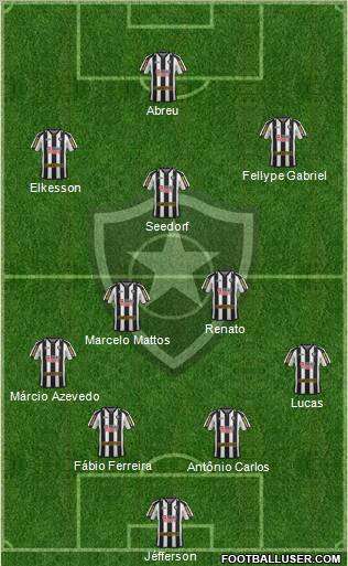 Botafogo FR Formation 2012