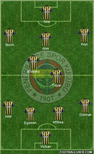 Fenerbahçe SK Formation 2012