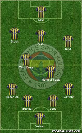 Fenerbahçe SK Formation 2012