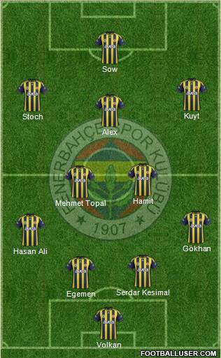 Fenerbahçe SK Formation 2012