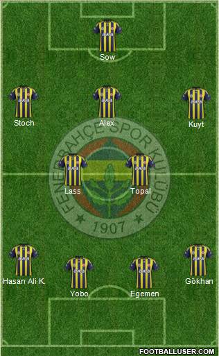 Fenerbahçe SK Formation 2012