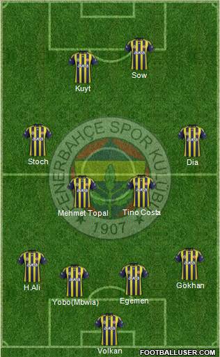 Fenerbahçe SK Formation 2012
