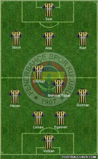Fenerbahçe SK Formation 2012