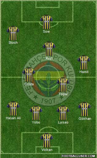 Fenerbahçe SK Formation 2012