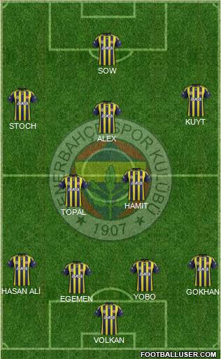 Fenerbahçe SK Formation 2012