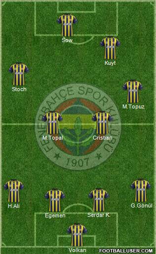 Fenerbahçe SK Formation 2012