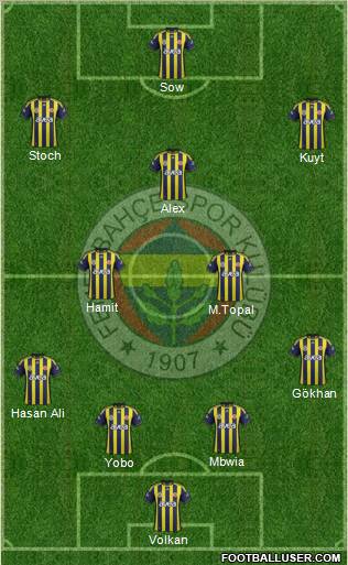 Fenerbahçe SK Formation 2012