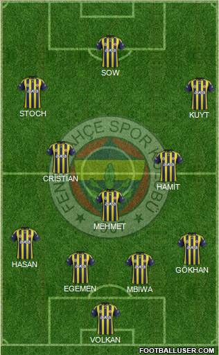 Fenerbahçe SK Formation 2012