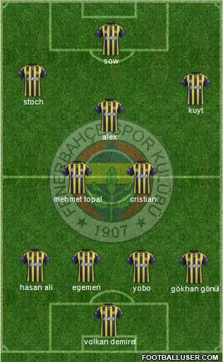 Fenerbahçe SK Formation 2012