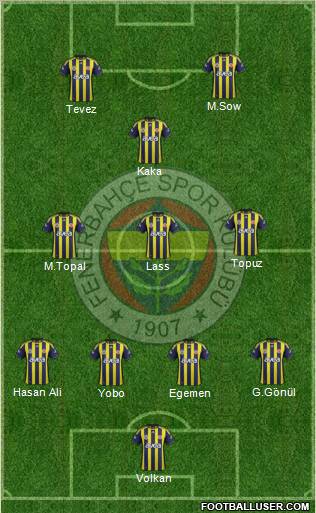 Fenerbahçe SK Formation 2012