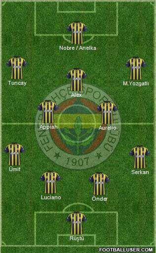 Fenerbahçe SK Formation 2012