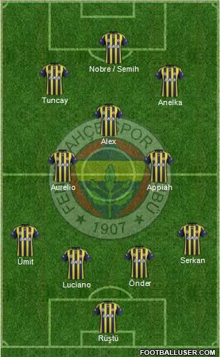 Fenerbahçe SK Formation 2012