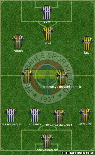 Fenerbahçe SK Formation 2012