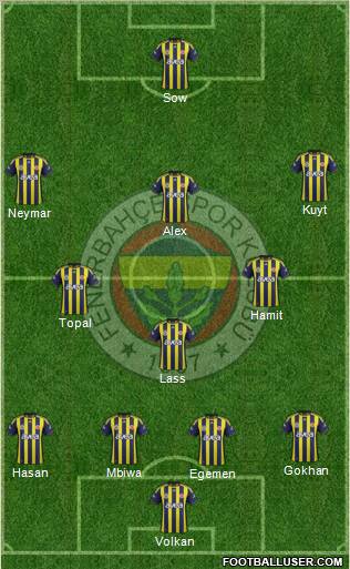 Fenerbahçe SK Formation 2012