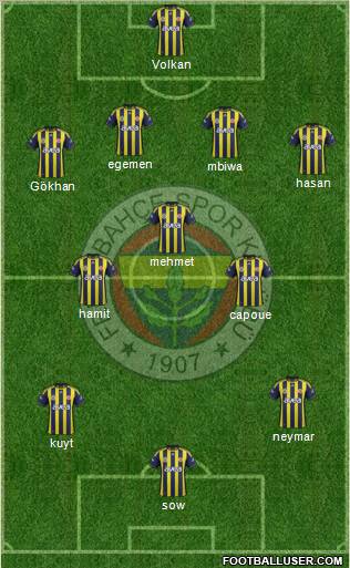 Fenerbahçe SK Formation 2012