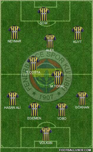 Fenerbahçe SK Formation 2012