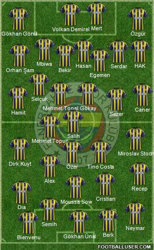 Fenerbahçe SK Formation 2012