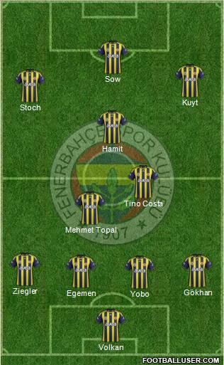 Fenerbahçe SK Formation 2012