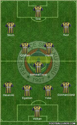 Fenerbahçe SK Formation 2012