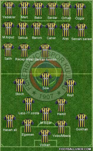Fenerbahçe SK Formation 2012