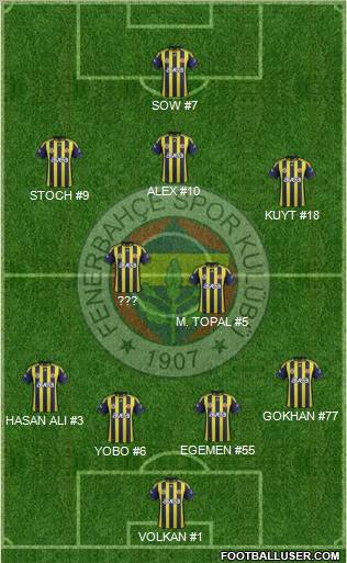 Fenerbahçe SK Formation 2012