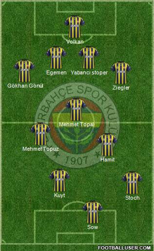 Fenerbahçe SK Formation 2012