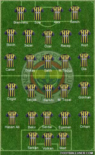 Fenerbahçe SK Formation 2012