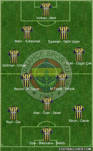 Fenerbahçe SK Formation 2012
