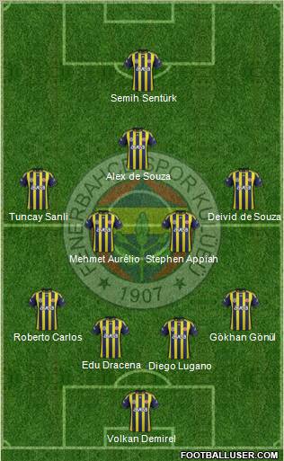 Fenerbahçe SK Formation 2012
