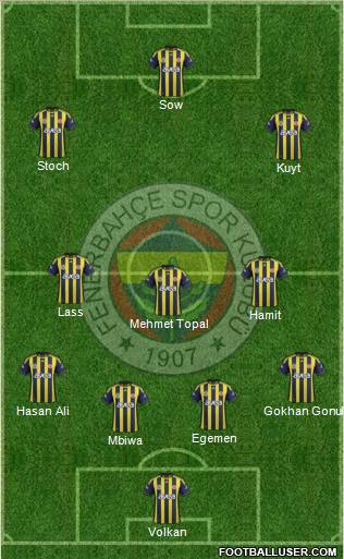 Fenerbahçe SK Formation 2012