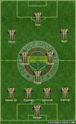Fenerbahçe SK Formation 2012
