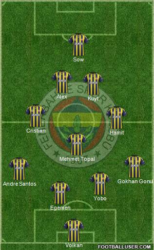 Fenerbahçe SK Formation 2012