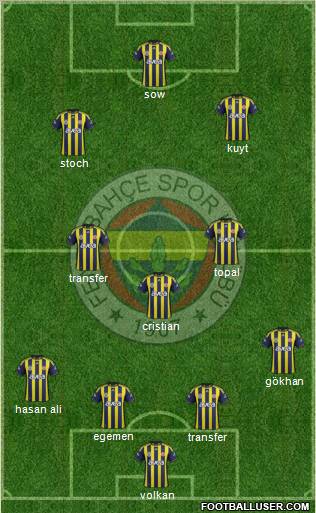 Fenerbahçe SK Formation 2012
