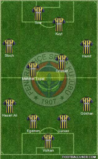 Fenerbahçe SK Formation 2012