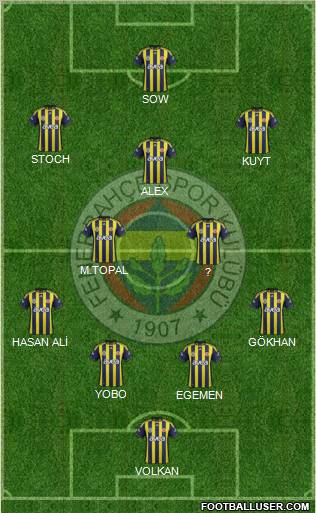 Fenerbahçe SK Formation 2012